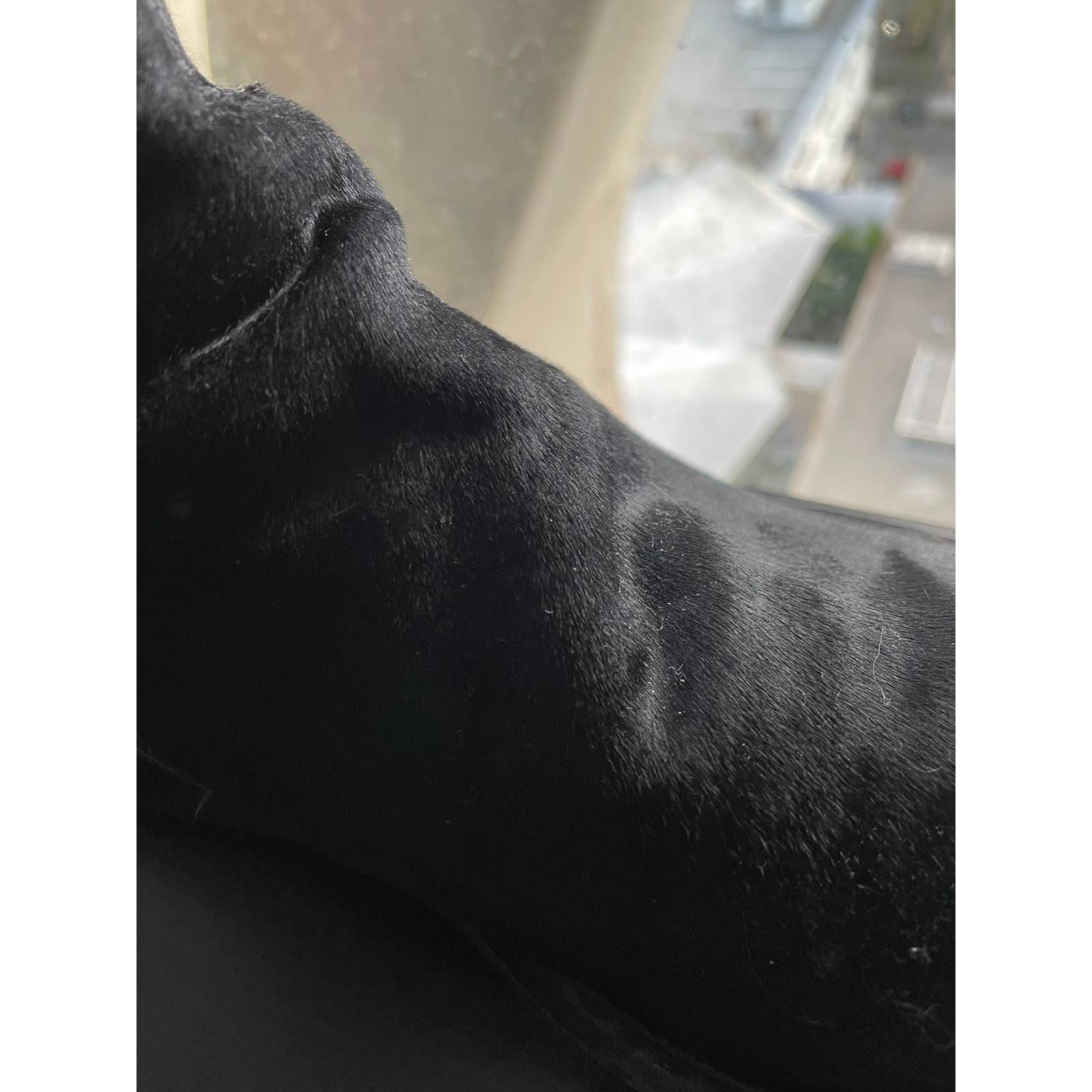 Pony Hair Vitello Boots - Image 6