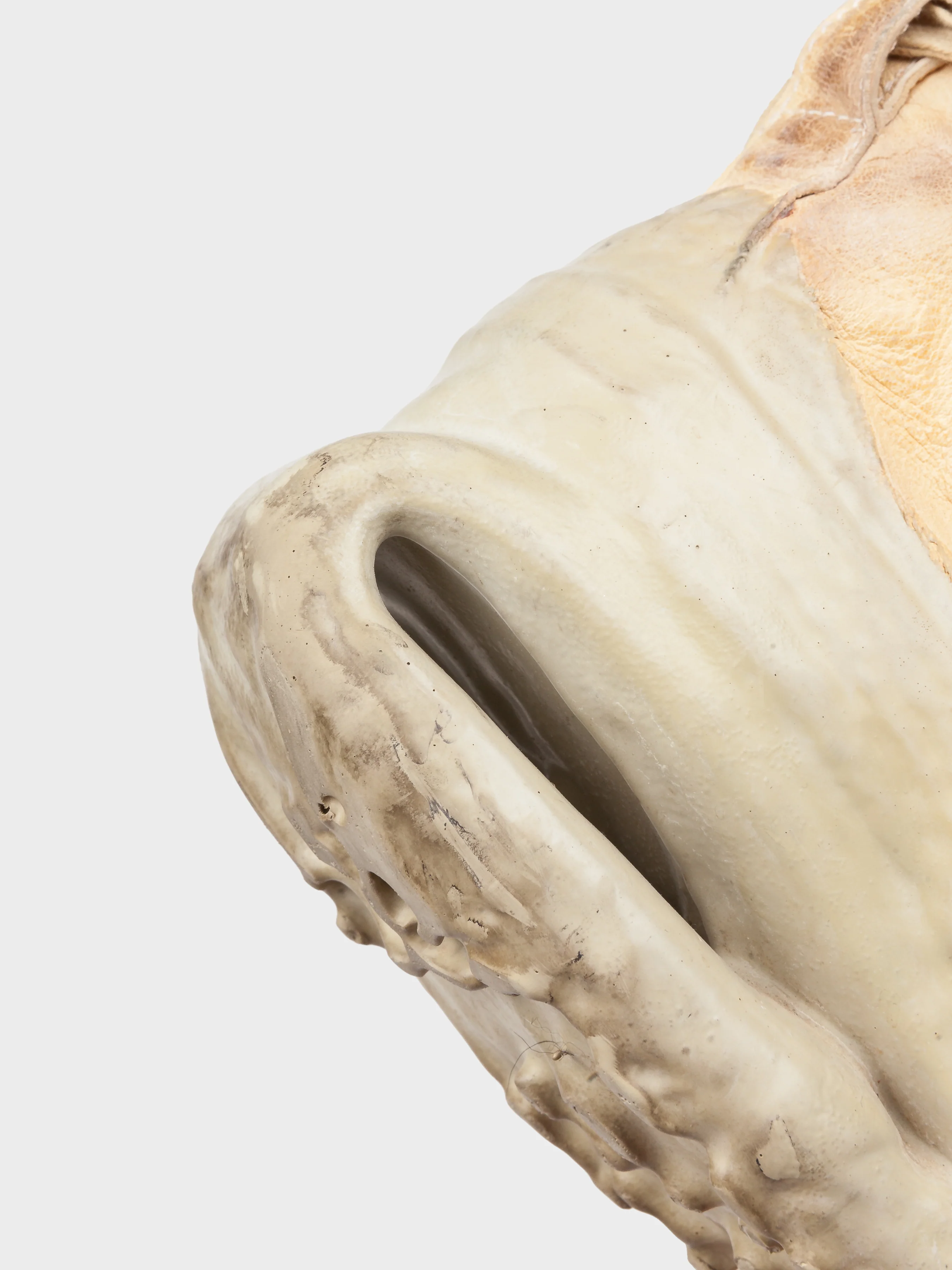 Prosthetic Sneakers - Image 5