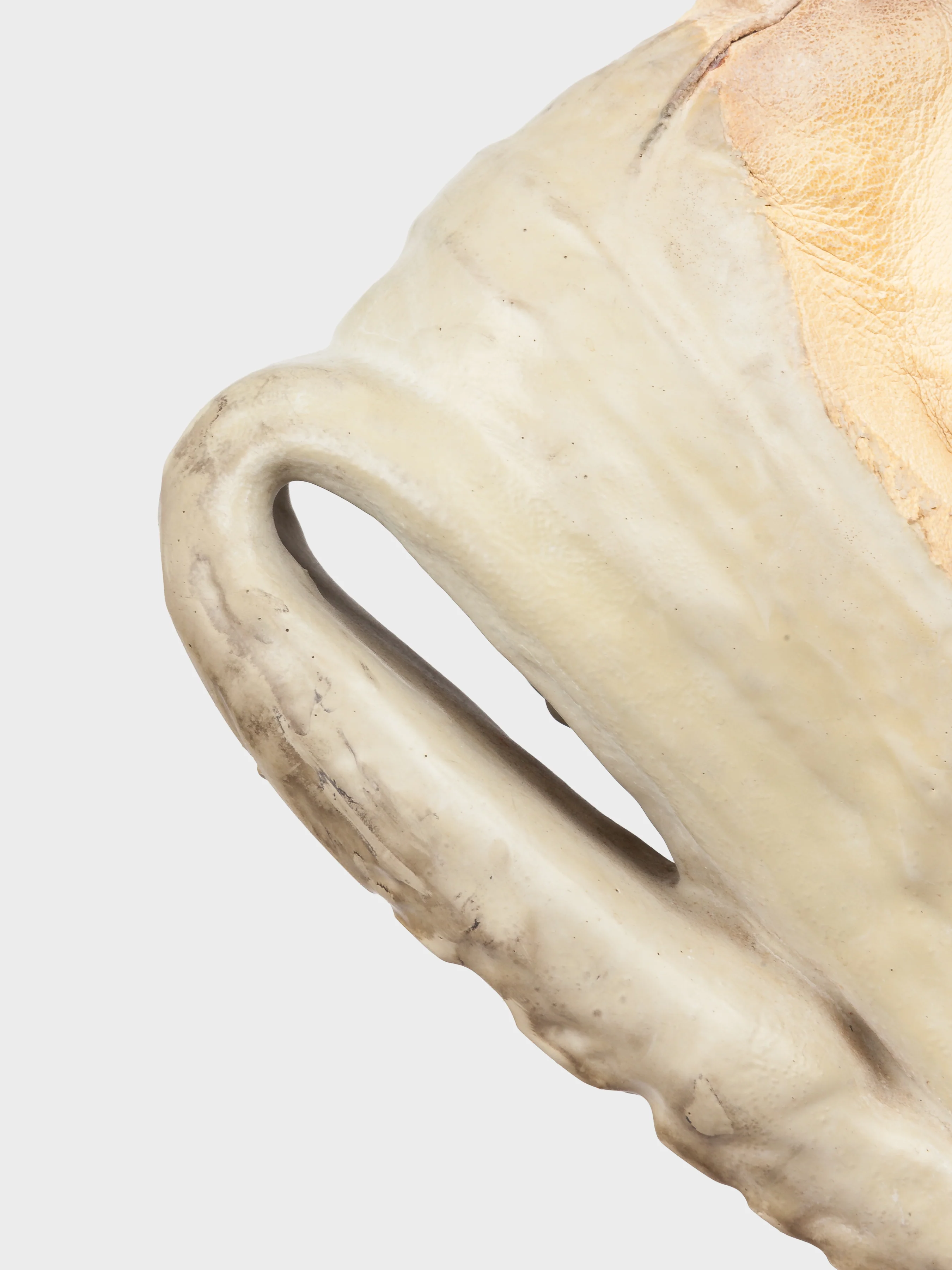 Prosthetic Sneakers - Image 6